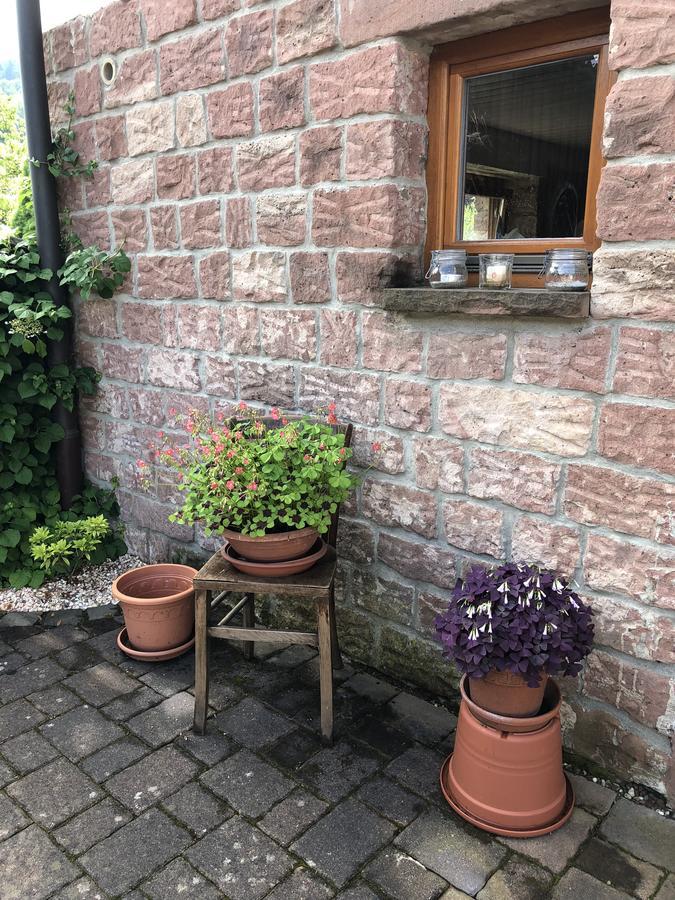 Ferienhaus Werkhof Schönau Zewnętrze zdjęcie